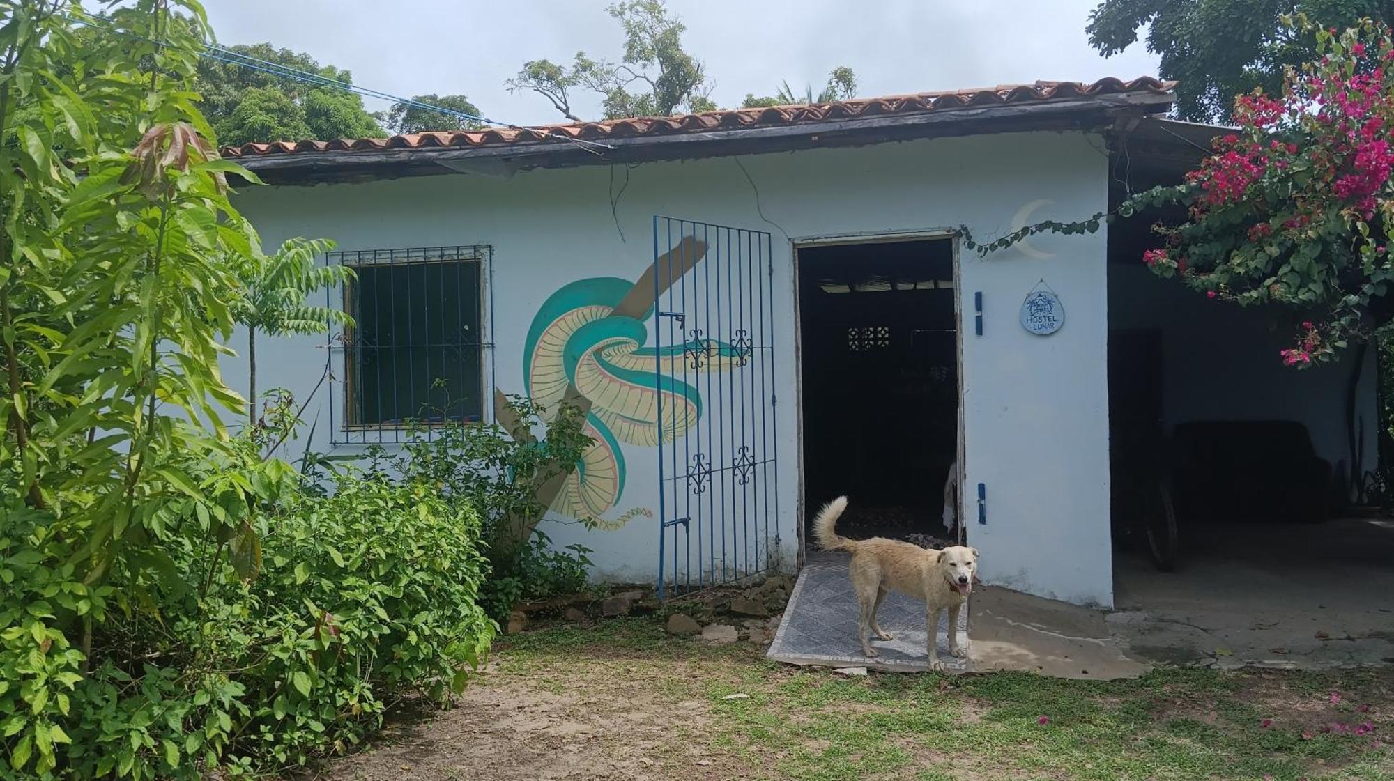 Eco Hostel Lunar Soure Esterno foto