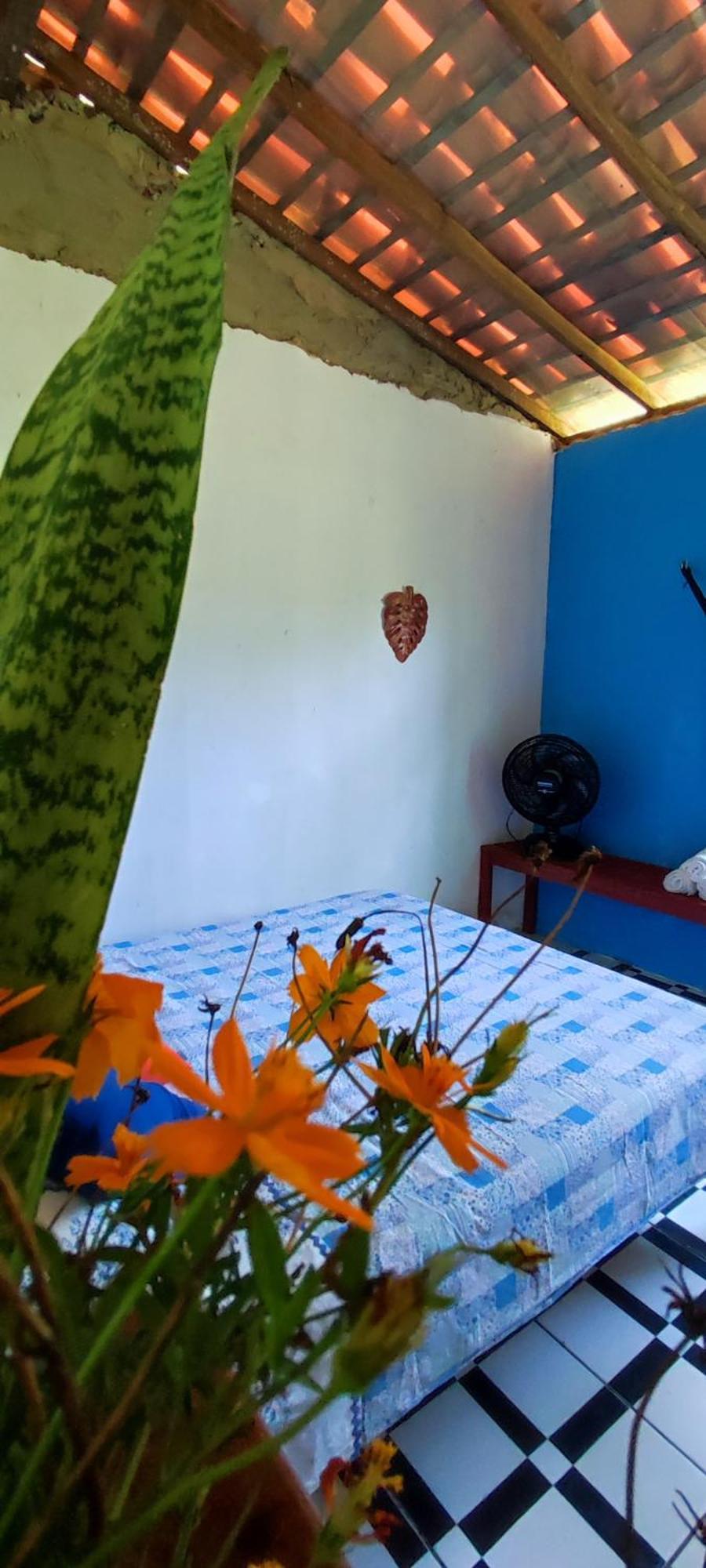 Eco Hostel Lunar Soure Esterno foto